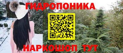 мдма Кингисепп